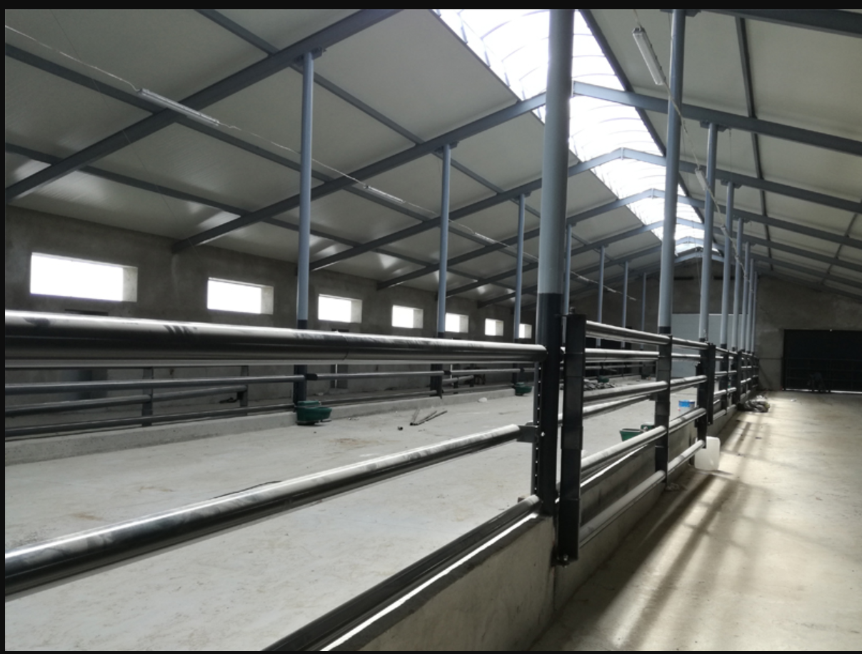 steel structure of the livestock facility